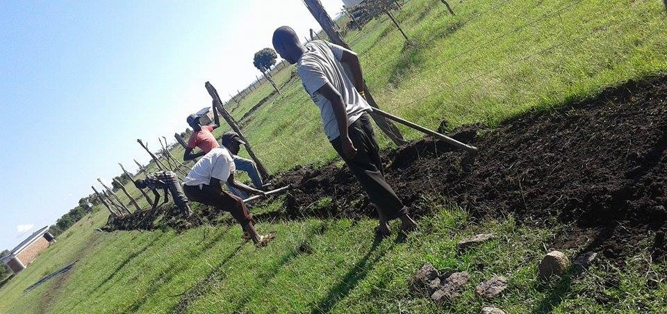 Sustainable Development & Climate Action